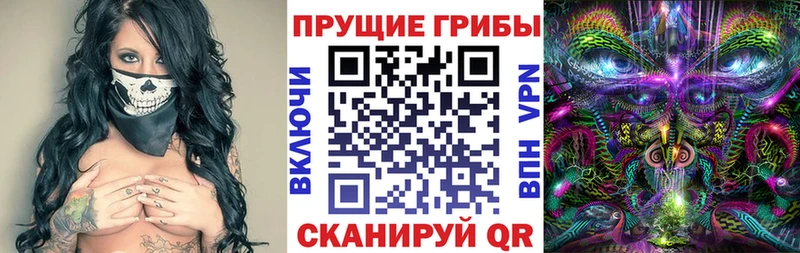 это какой сайт  где найти наркотики  Курильск  Псилоцибиновые грибы прущие грибы 